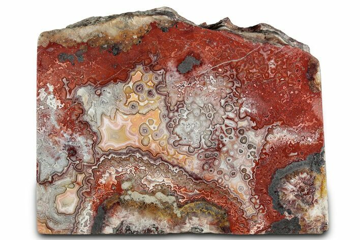 Polished Crazy Lace Agate Stand-Up - Mexico #326140